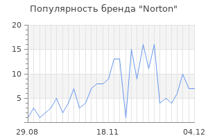 Популярность бренда norton
