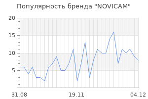 Популярность бренда novicam