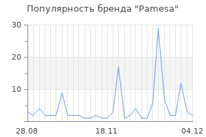 Популярность бренда pamesa