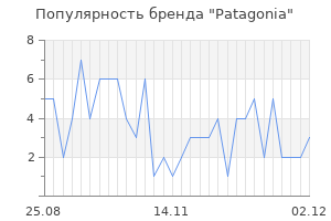 Популярность бренда patagonia