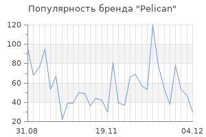 Популярность бренда pelican