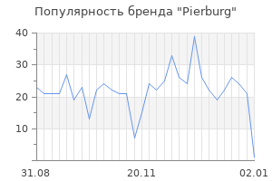 Популярность бренда pierburg