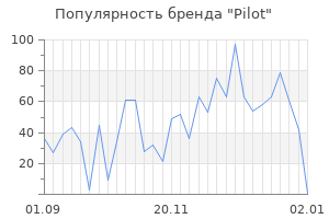 Популярность бренда pilot