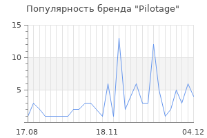 Популярность бренда pilotage