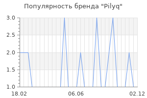 Популярность бренда pilyq