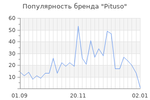 Популярность бренда pituso