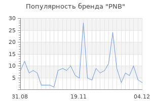 Популярность бренда pnb