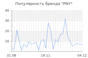 Популярность бренда pny