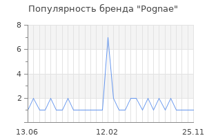 Популярность бренда pognae