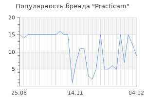 Популярность бренда practicam