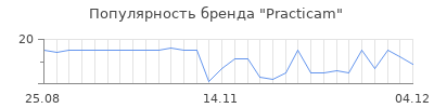 Популярность practicam