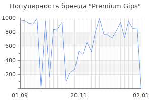 Популярность бренда premium gips