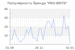 Популярность бренда pro brite