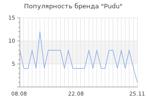 Популярность бренда Pudu
