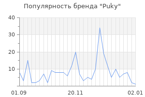 Популярность бренда puky