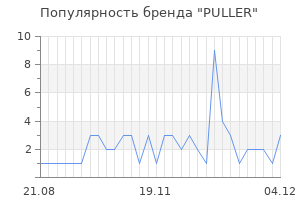 Популярность бренда puller