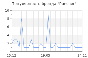 Популярность бренда Puncher