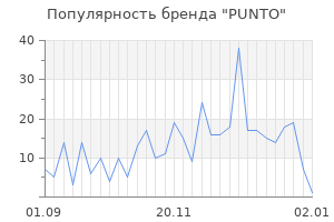 Популярность бренда punto