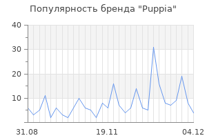 Популярность бренда puppia