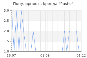 Популярность бренда Pushe