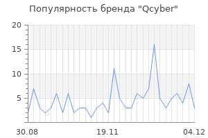 Популярность бренда qcyber