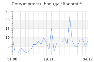 Популярность бренда radomir