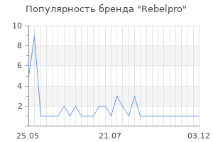 Популярность бренда Rebelpro