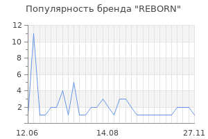 Популярность бренда REBORN