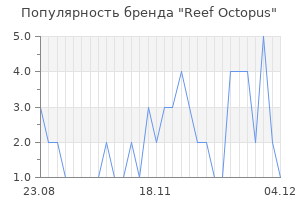 Популярность бренда reef octopus