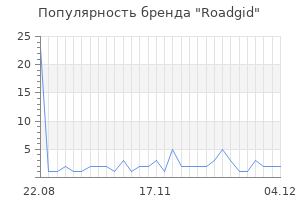 Популярность бренда roadgid