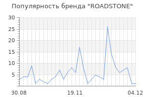 Популярность бренда roadstone