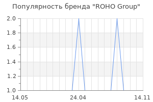 Популярность бренда ROHO Group