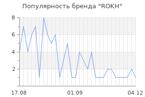 Популярность бренда rokh
