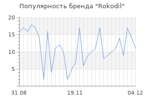 Популярность бренда Rokodil