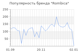 Популярность бренда rombica