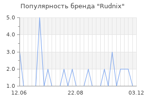 Популярность бренда rudnix