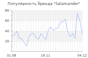 Популярность бренда salamander