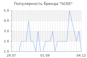 Популярность бренда scee