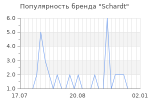Популярность бренда schardt