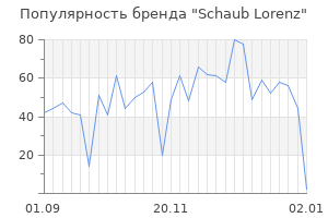 Популярность бренда schaub lorenz