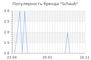 Популярность бренда schaub