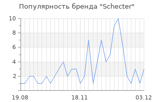Популярность бренда schecter