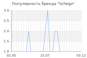 Популярность бренда schego
