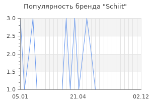 Популярность бренда schiit