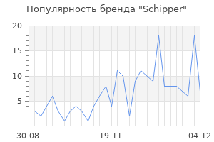 Популярность бренда schipper