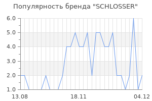 Популярность бренда schlosser