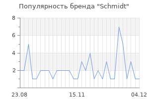 Популярность бренда schmidt