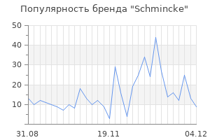Популярность бренда schmincke