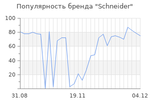 Популярность бренда schneider