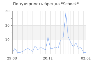 Популярность бренда schock